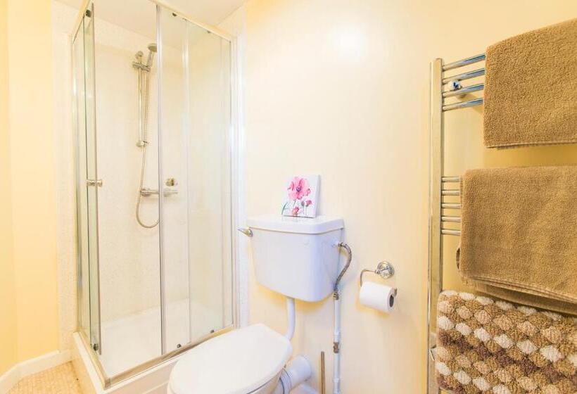 בית מלון כפרי The Swan