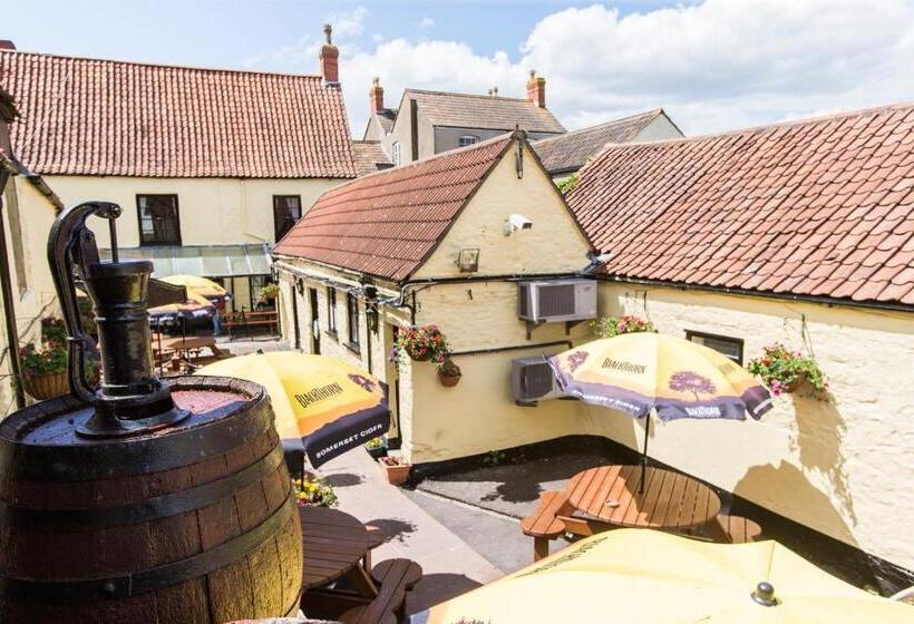 בית מלון כפרי The Swan