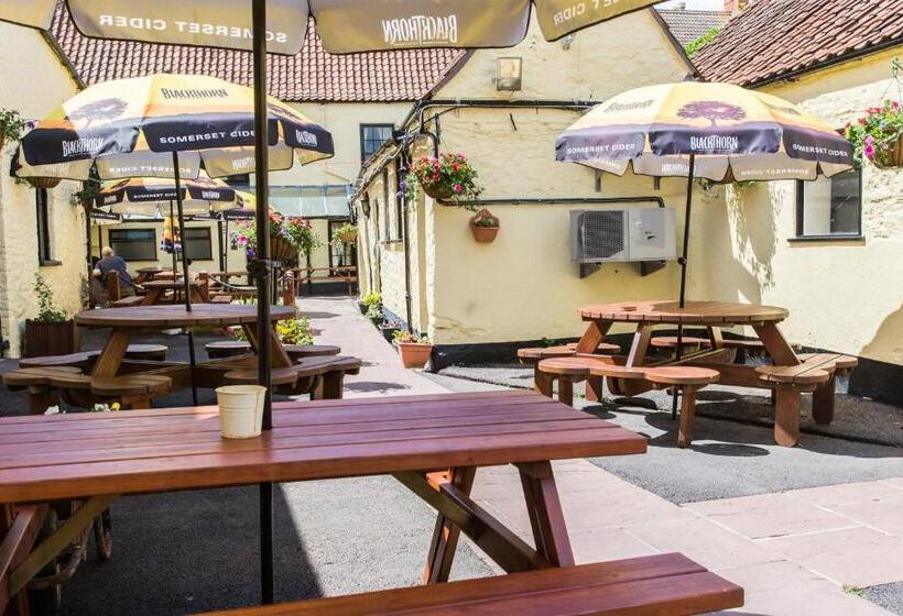 בית מלון כפרי The Swan