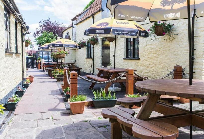 בית מלון כפרי The Swan