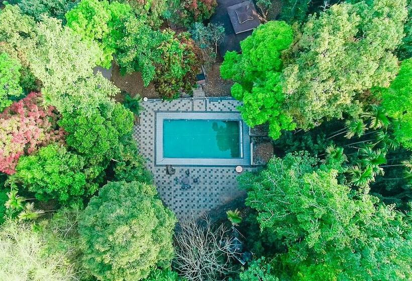 ホテル Vythiri Wild Forest Resort