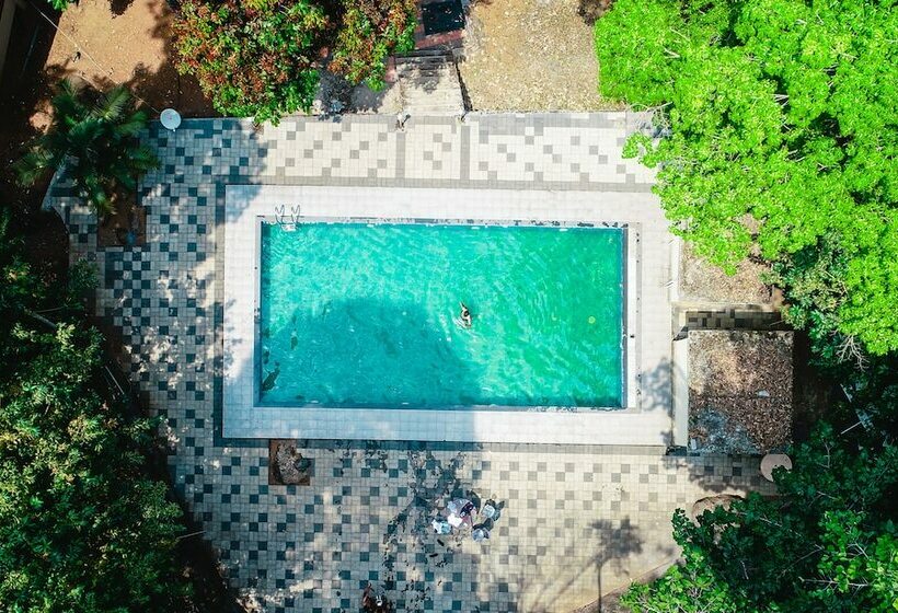 ホテル Vythiri Wild Forest Resort