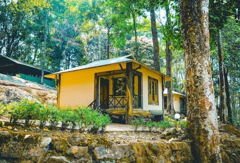 ホテル Vythiri Wild Forest Resort