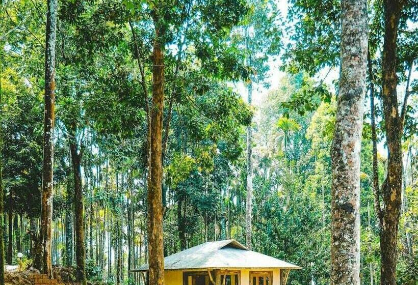 ホテル Vythiri Wild Forest Resort