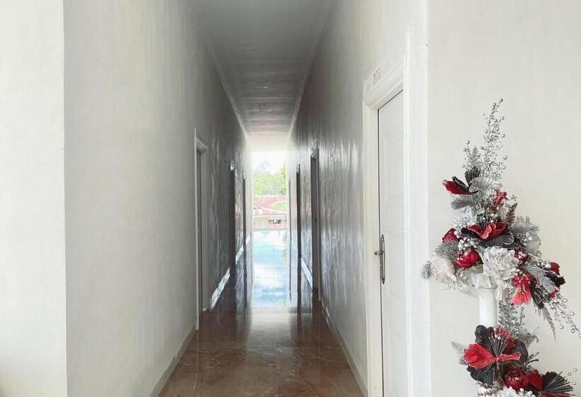 ホテル Wisma Maestro Toraja Mitra Reddoorz