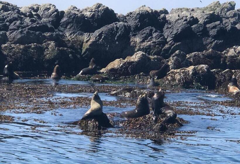 汽车旅馆 Island West Resort