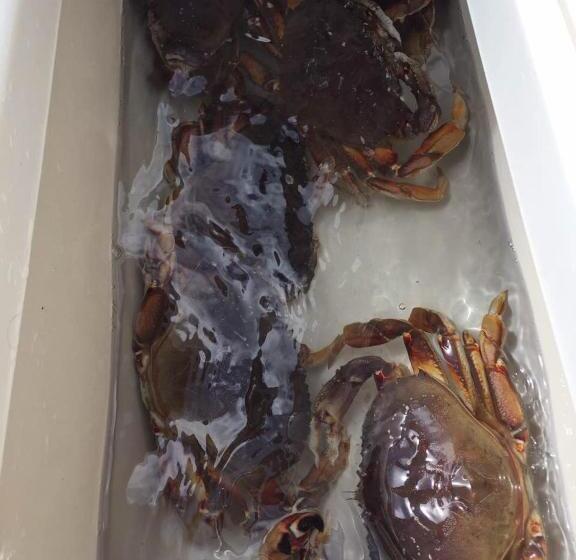 汽车旅馆 Island West Resort