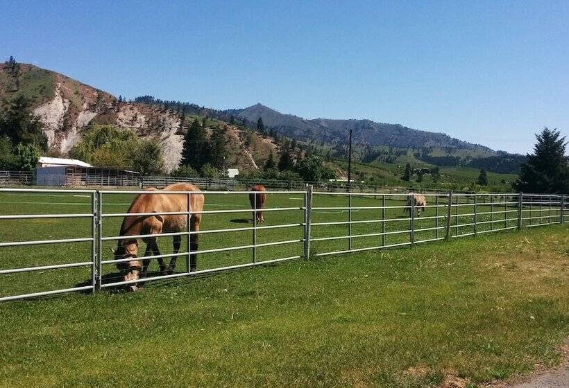 モーテル Wedge Mountain Inn