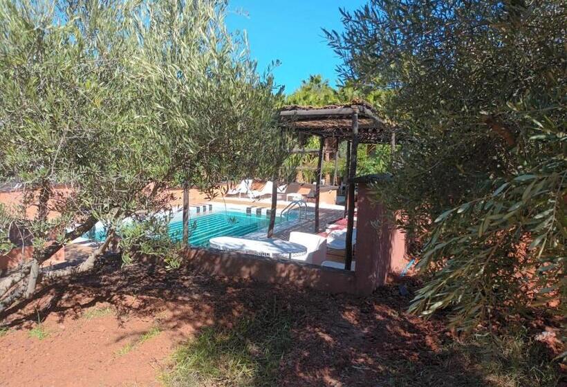 پانسیون Domaine Malika   Adults Only