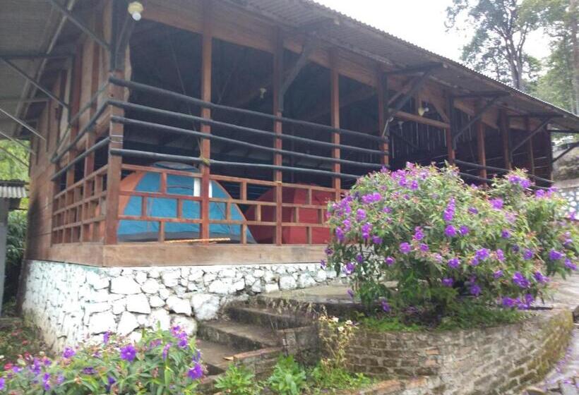 پانسیون Penginapan Puncak Dp