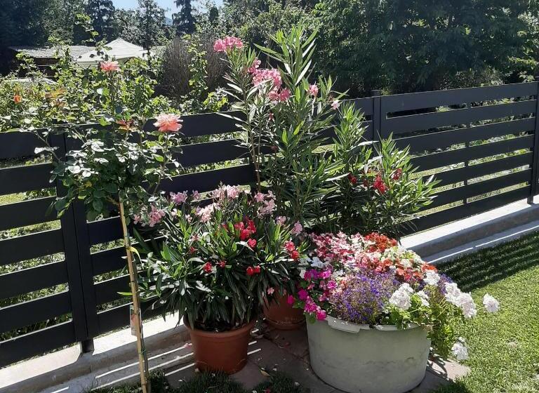 膳宿费 Rózsa Vendégház