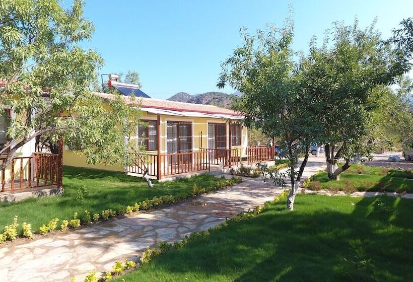 פנסיון Seler Doğa Evleri