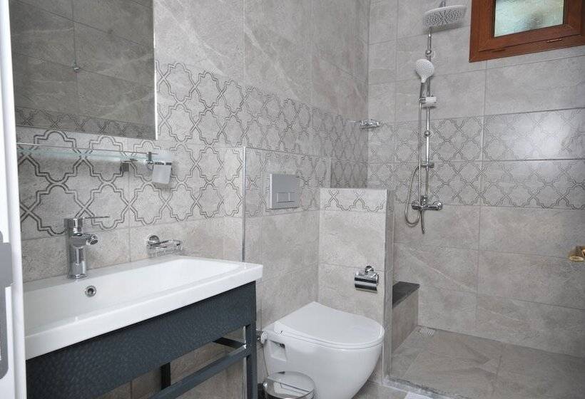 פנסיון Seler Doğa Evleri