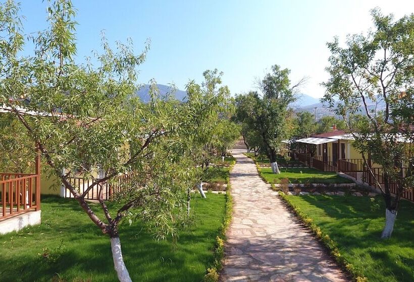 פנסיון Seler Doğa Evleri