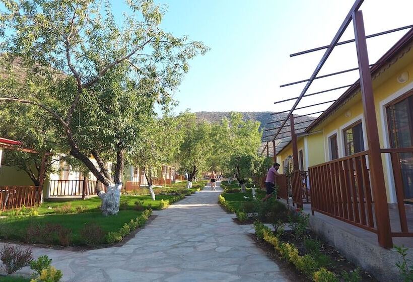 פנסיון Seler Doğa Evleri