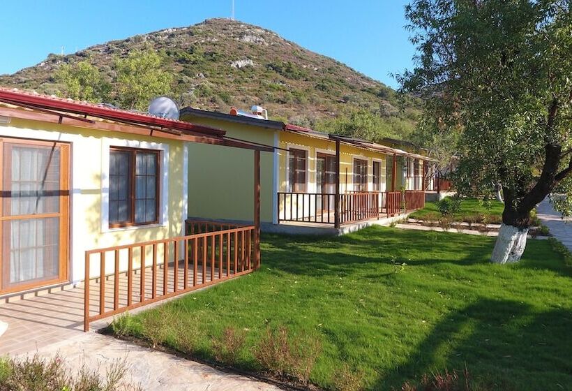 פנסיון Seler Doğa Evleri