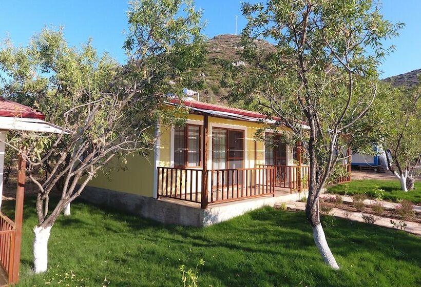 פנסיון Seler Doğa Evleri