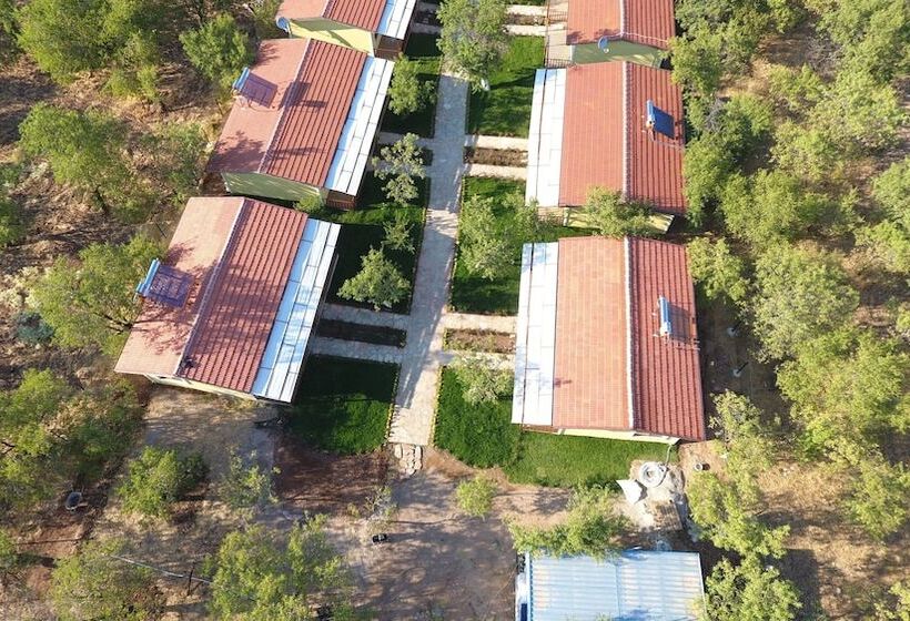 פנסיון Seler Doğa Evleri