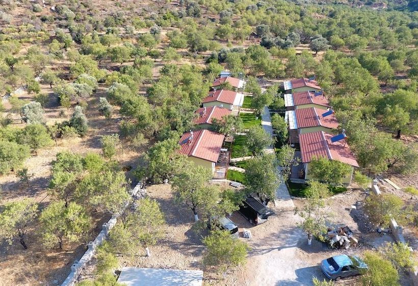 פנסיון Seler Doğa Evleri