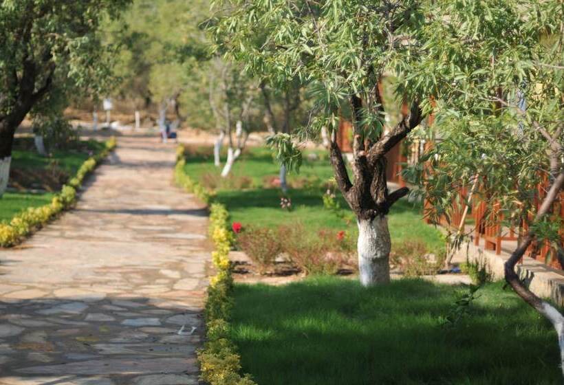 פנסיון Seler Doğa Evleri