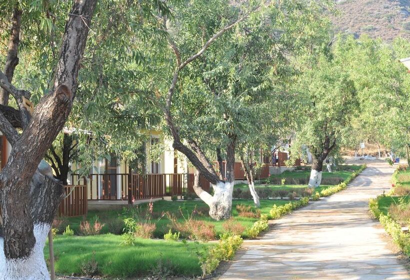 פנסיון Seler Doğa Evleri