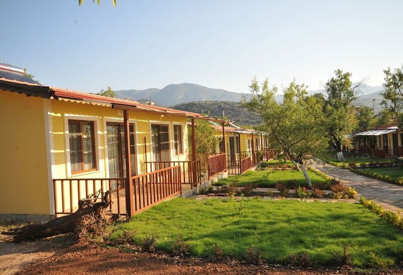 פנסיון Seler Doğa Evleri