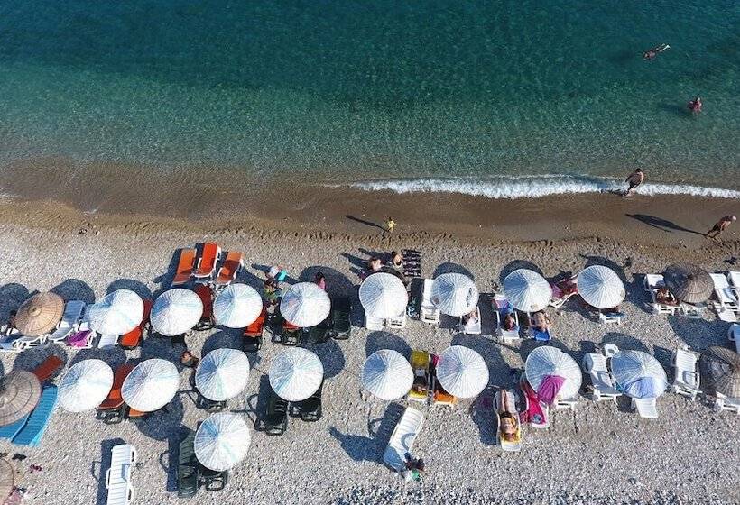 פנסיון Seler Doğa Evleri