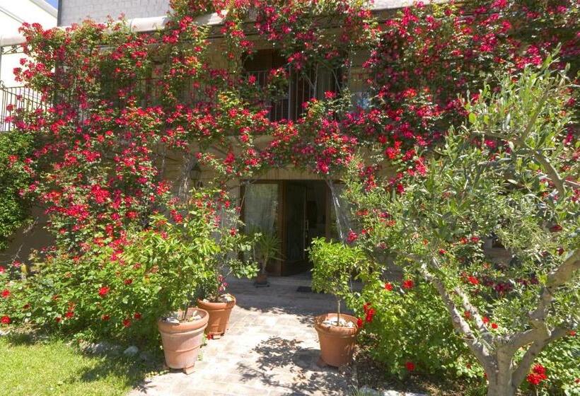 بنسيون Velia Mare