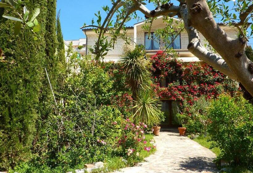 膳宿费 Velia Mare