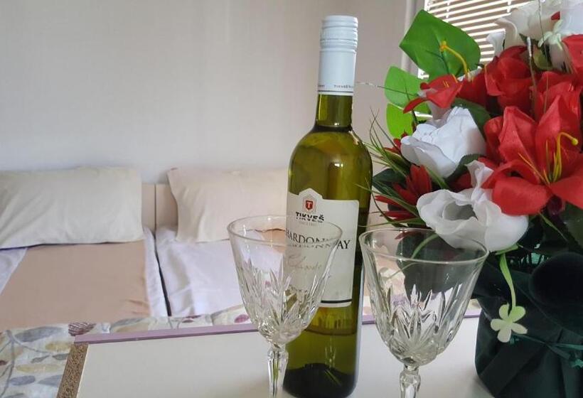 پانسیون Vila Dule