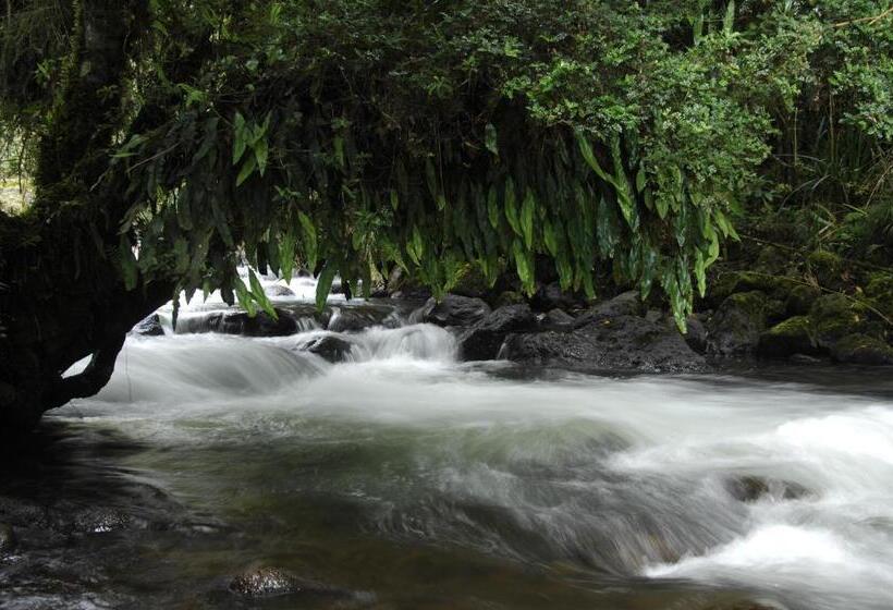 استراحتگاه Termas De Papallacta