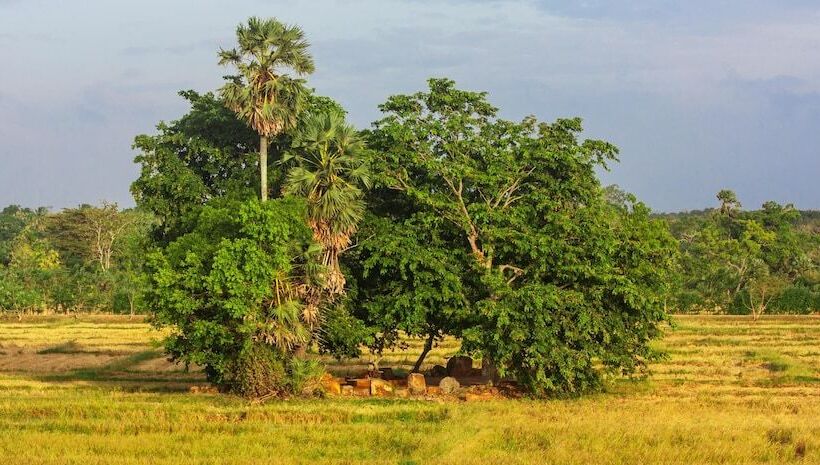 Курорт Uga Ulagalla Anuradhapura