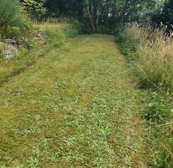 Rowantreebank Bed And Breakfast