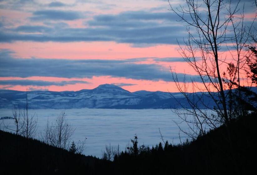 Silver Star Bed And Breakfast