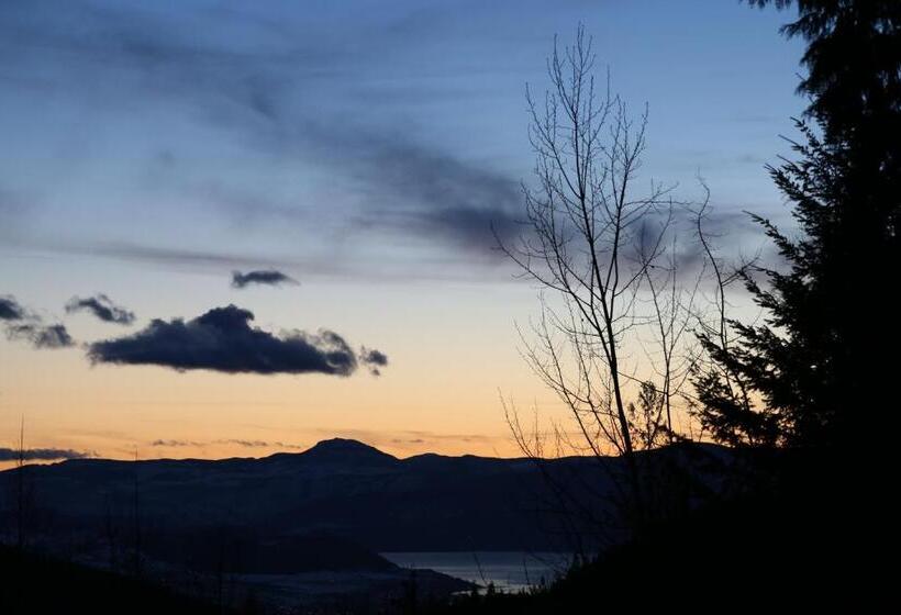 Silver Star Bed And Breakfast