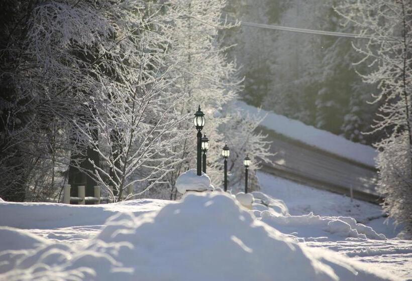 Silver Star Bed And Breakfast