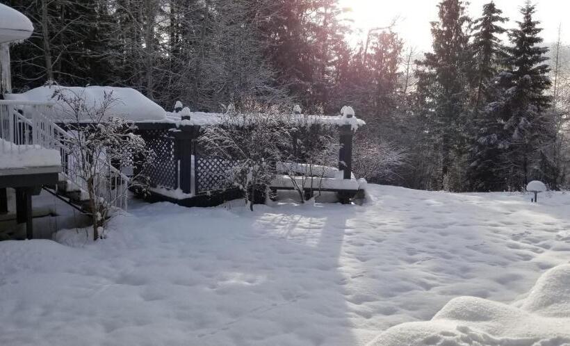 Silver Star Bed And Breakfast