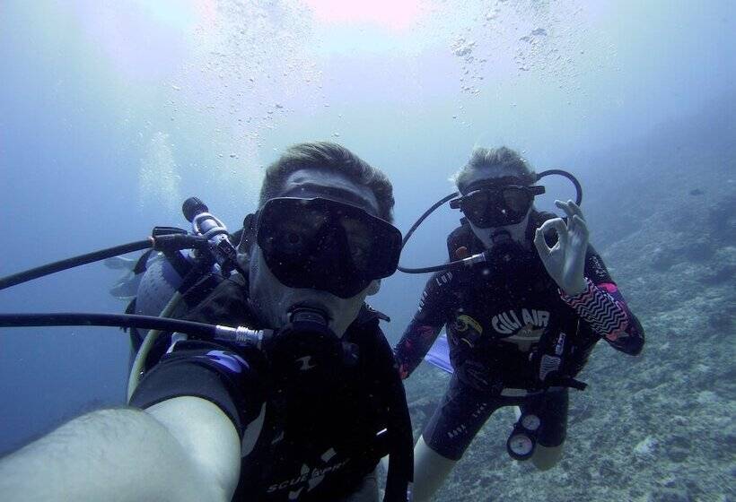 Lmbk Surf Camp   Hostel