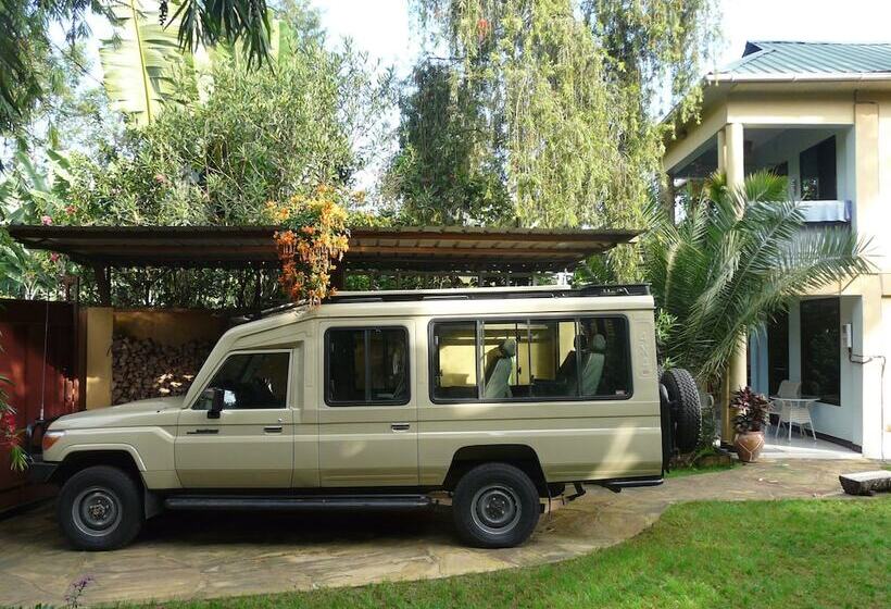 Banana House   Hostel