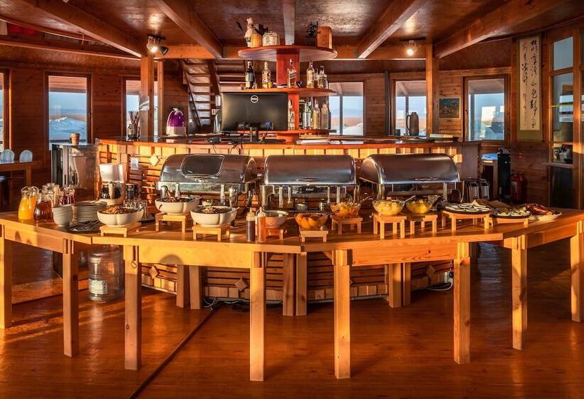 酒店 Dream Gobi Lodge