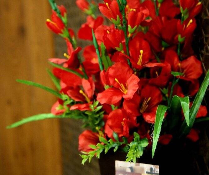 فندق Grand Oliver