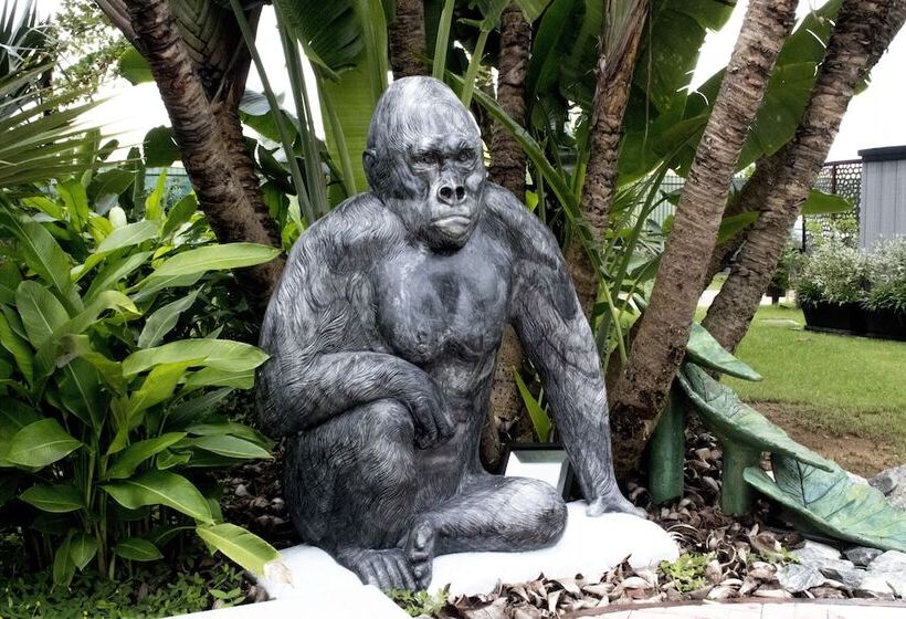 Panafrica Hotel Boutique & Spa