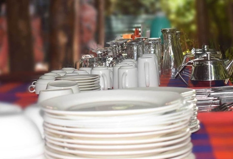 پانسیون Mzunguu Safari Lodge