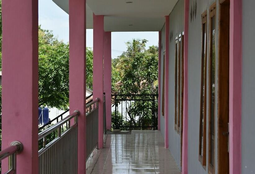 پانسیون Pinki Mente