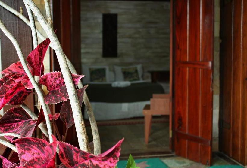 酒店 Chill Inn Paraty Hostel & Pousada