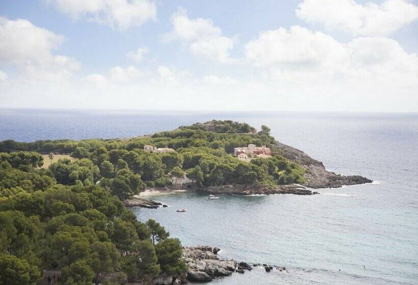 酒店 Aluasoul Carolina   Adults Only