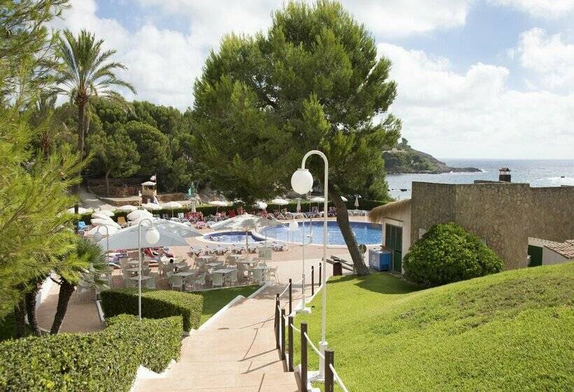 酒店 Aluasoul Carolina   Adults Only