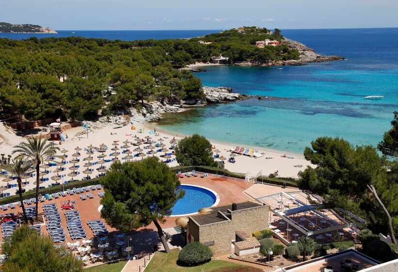 酒店 Aluasoul Carolina   Adults Only