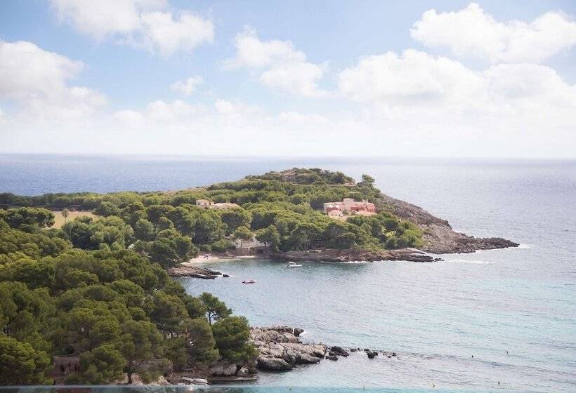 酒店 Aluasoul Carolina   Adults Only