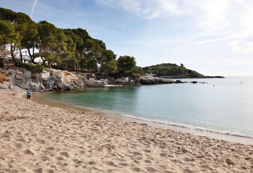 酒店 Aluasoul Carolina   Adults Only